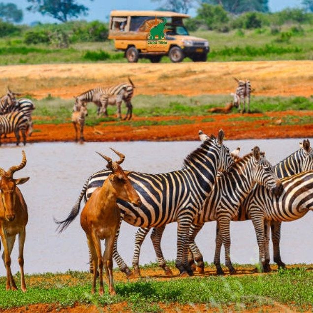 Tsavo East National Park