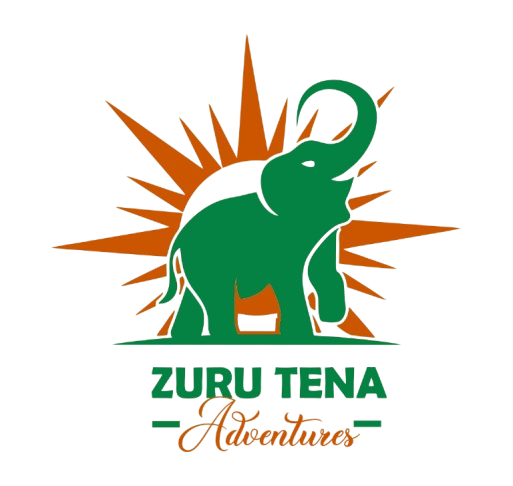 Zuru Tena Adventures