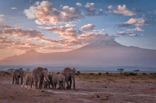 Kilimanjaro National Park (Tanzania)